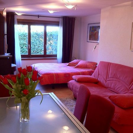 Appartement Lydie Le Landeron Экстерьер фото